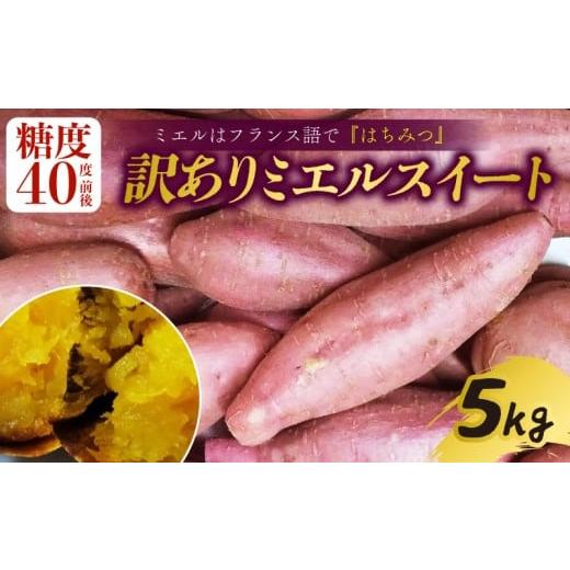 ふるさと納税 野菜類 サツマイモ 高知県 南国市 新芋発送開始 訳あり ミエルスイート 5キロ サツマイモ 芋 いも ミエルスィート おやつ スイーツ いも天 芋天…