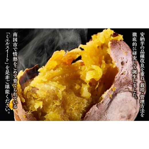 ふるさと納税 野菜類 サツマイモ 高知県 南国市  訳あり 受付は3月15日まで ミエルスイート 5キロ サツマイモ 芋 いも ミエルスィート おやつ スイーツ いも天… |  | 03
