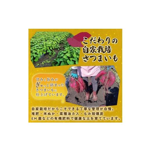 ふるさと納税 野菜類 サツマイモ 新潟県 新発田市  2027年先行予約 焼き芋 紅はるか 2.5kg 冷めても美味しい さつまいも 芋 おやつ お菓子 菓子 やきいも スイ…の画像