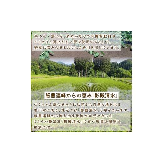 ふるさと納税 野菜類 サツマイモ 新潟県 新発田市  2027年先行予約 焼き芋 紅はるか 2.5kg 冷めても美味しい さつまいも 芋 おやつ お菓子 菓子 やきいも スイ…の画像