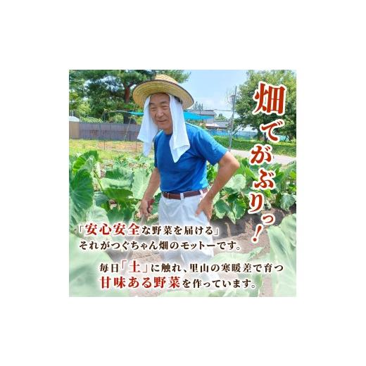 ふるさと納税 野菜類 サツマイモ 新潟県 新発田市  2027年先行予約 焼き芋 紅はるか 2.5kg 冷めても美味しい さつまいも 芋 おやつ お菓子 菓子 やきいも スイ…の画像