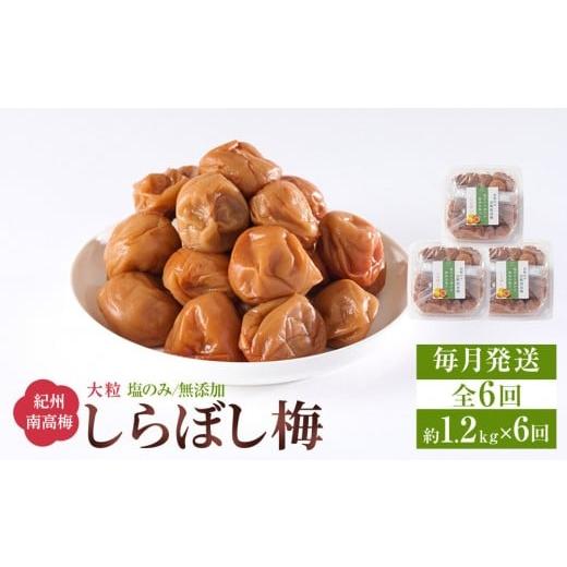 ふるさと納税 加工品等 梅干 和歌山県 和歌山市 梅干し しらぼし梅 約1.2kg（約400g×3）塩のみ 無添加 大粒 紀州南高梅 塩分約15％ 和歌山県産 定期便 毎月発…_1