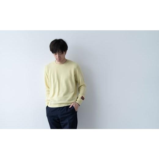 ふるさと納税 服 男 宮城県 加美町 ラウンドネックプルオーバー　男S：40 ｜ ニット 高級 希少 メンズ S（40）サイズの画像