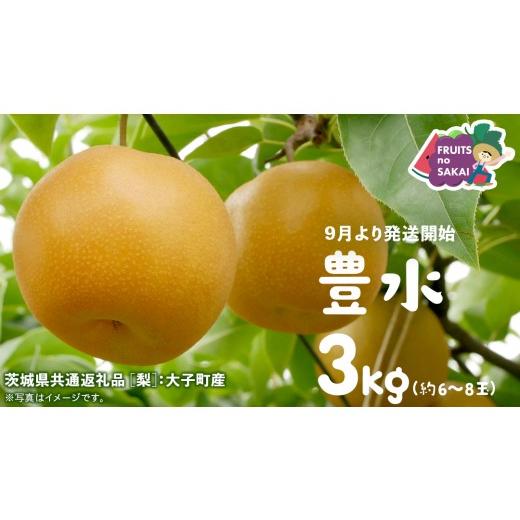 ふるさと納税 梨 茨城県 つくばみらい市 豊水 梨 3kg (6〜8玉) 2026年9月より発送開始 (茨城県共通返礼品 梨 :大子町産) なし 旬 お取り寄せ フルーツ 甘…