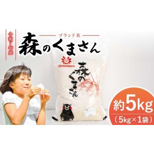 ふるさと納税 米 熊本県 宇城市 令和7年産 米 新米 森のくまさん 5kg 2025年11月上旬から2026年10月下旬発送予定 白米 うるち米 お米 精米 コメ ごはん ご飯 …