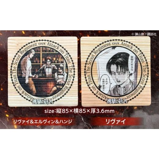 ふるさと納税 キャラクター・ぬいぐるみ 大分県 日田市 「進撃の巨人