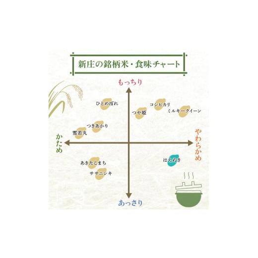 ふるさと納税 米 はえぬき 山形県 新庄市 令和7年産 はえぬき 5kg×4 計20kg 無洗米 最上ノ米蔵 山形県産 こめ お米 米 白米 F3S-2679_4