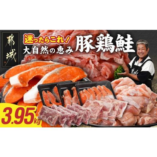 ふるさと納税 魚貝類 鮭 宮崎県 都城市  肉×魚 小分け3種セット(豚切り落とし250g×5P・鶏モモカット済300g×4P・銀鮭500g×3P)_23-8401_(都城市) 小分けパッ…_1