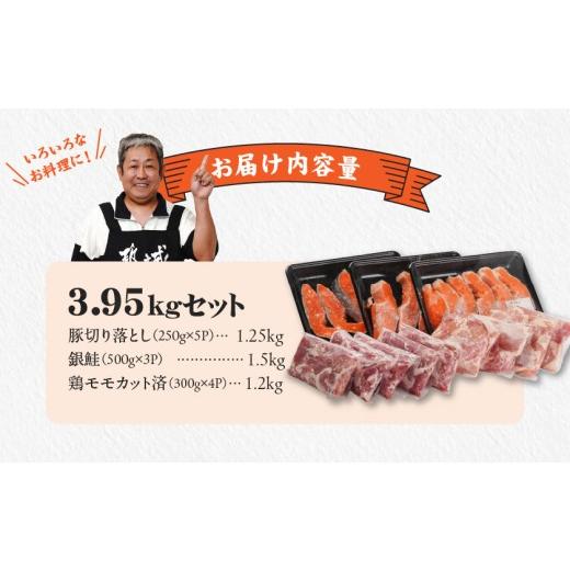 ふるさと納税 魚貝類 鮭 宮崎県 都城市  肉×魚 小分け3種セット(豚切り落とし250g×5P・鶏モモカット済300g×4P・銀鮭500g×3P)_23-8401_(都城市) 小分けパッ…_5