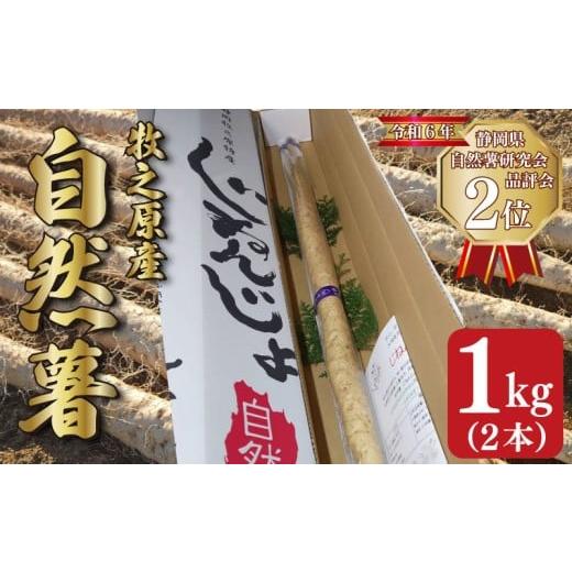 ふるさと納税 野菜類 山菜 静岡県 牧之原市 予約受付 自然薯 1kg 2本 じねんじょ 山芋 ヤマイモ 山いも とろろ とろろ汁 国産 滋養強壮 強壮 とろろご飯 ご飯…