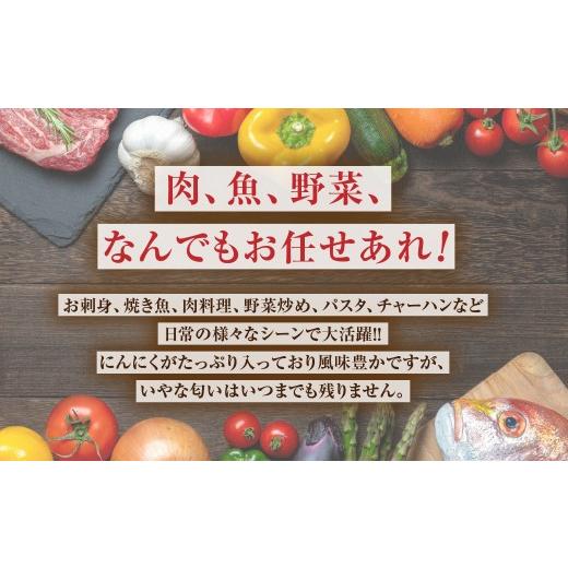 ふるさと納税 醤油 青森県 三戸町 青森県産にんにく使用  にんにく醤油（170g×２本） にんにく ニンニク 大蒜 すりおろし 醤油 にんにく醤油 国産 調味料 ス…の画像