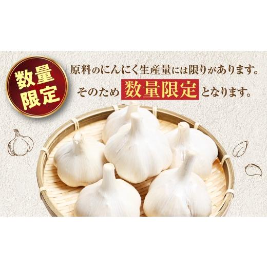 ふるさと納税 醤油 青森県 三戸町 青森県産にんにく使用  にんにく醤油（170g×２本） にんにく ニンニク 大蒜 すりおろし 醤油 にんにく醤油 国産 調味料 ス…の画像