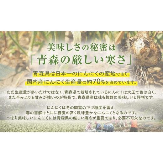 ふるさと納税 醤油 青森県 三戸町 青森県産にんにく使用  にんにく醤油（170g×２本） にんにく ニンニク 大蒜 すりおろし 醤油 にんにく醤油 国産 調味料 ス…の画像