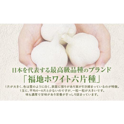 ふるさと納税 醤油 青森県 三戸町 青森県産にんにく使用  にんにく醤油（170g×２本） にんにく ニンニク 大蒜 すりおろし 醤油 にんにく醤油 国産 調味料 ス…の画像