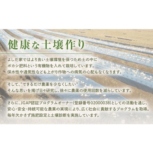 ふるさと納税 醤油 青森県 三戸町 青森県産にんにく使用  にんにく醤油（170g×２本） にんにく ニンニク 大蒜 すりおろし 醤油 にんにく醤油 国産 調味料 ス…の画像