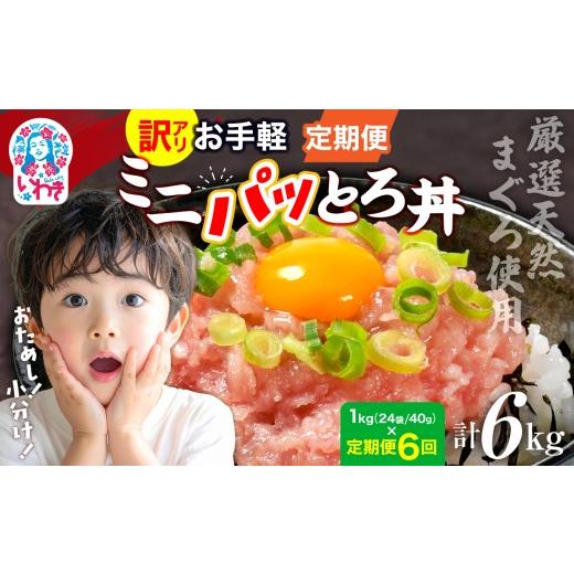 ふるさと納税 マグロ 福島県 いわき市 定期便6回 訳アリ 福島製造 ねぎとろ使い切りパック 約1kg(約40g×24パック) |定期便 まぐろ まぐろたたき ねぎとろ…