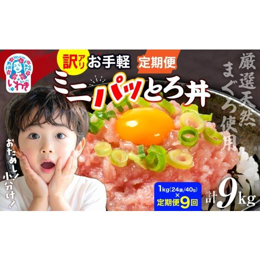 ふるさと納税 マグロ 福島県 いわき市 定期便9回 訳アリ 福島製造 ねぎとろ使い切りパック 約1kg(約40g×24パック) | 定期便 まぐろ まぐろたたき ねぎと…