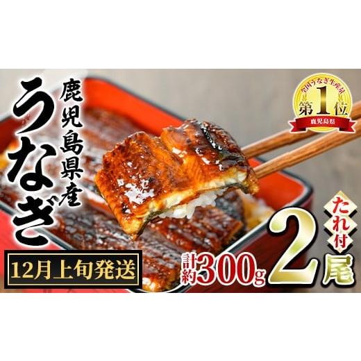 ふるさと納税 うなぎ 鹿児島県 東串良町 0124326a-2512 12月上旬発送予定 東串良町のうなぎ蒲焼(無頭)(2尾・計約300g・タレ、山椒付) うなぎ 高級 ウナギ 鰻 …