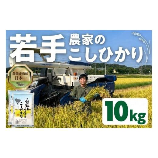 ふるさと納税 米 コシヒカリ 愛知県 田原市 10kg:12月発送 [令和8年産 新米]農家のこしひかり 5kg 10kg 選べる お米 おこめ 米 コメ ごはん コシヒカリ ご…