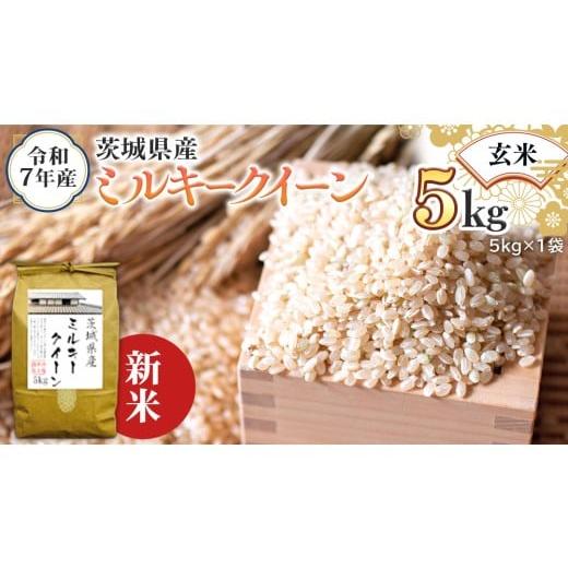 ふるさと納税 玄米 茨城県 つくばみらい市 新米 令和7年産 茨城県産 玄米 ミルキークイーン 5kg (5kg×1袋) 米 コメ こめ 単一米 限定 茨城県産 国産 美味…