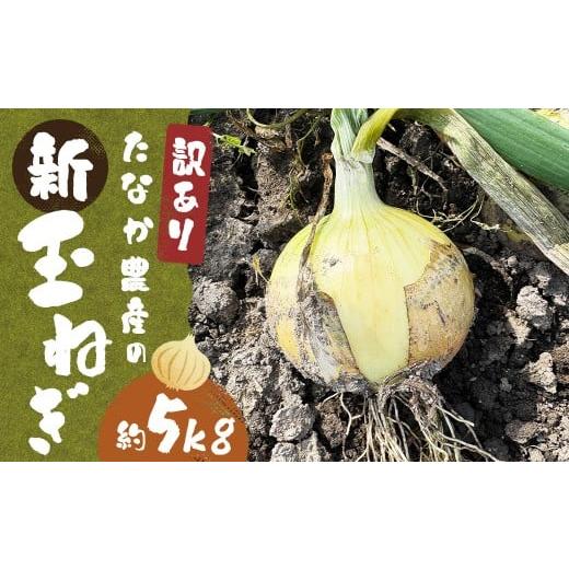 ふるさと納税 野菜類 玉ねぎ 福岡県 柳川市 先行予約 訳あり たなか農産の柳川産 新玉ねぎ 約5kg 2026年4月上旬〜6月下旬迄順次発送予定 訳アリ 理由あり わ…