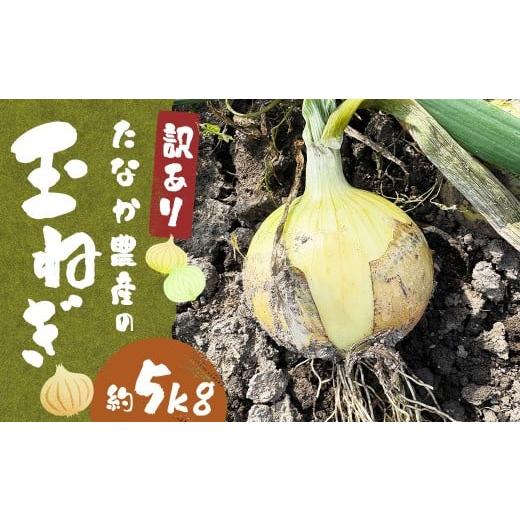 ふるさと納税 野菜類 玉ねぎ 福岡県 柳川市 先行予約 訳あり たなか農産の柳川産 玉ねぎ 約5kg 2026年6月下旬〜8月上旬迄順次発送予定 訳アリ 理由あり わけ…