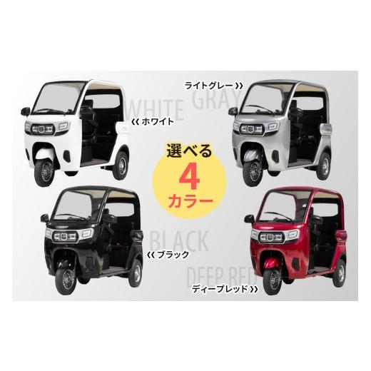 ふるさと納税 自転車 神奈川県 伊勢原市 電動トゥクトゥク《VIVEL》Li