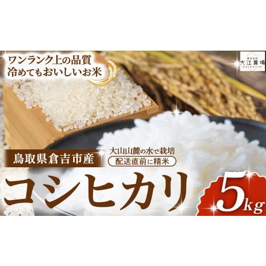 ふるさと納税 米 コシヒカリ 鳥取県 倉吉市 11月配送分 令和7産米 倉吉市産 コシヒカリ 5kg ( 大江農場 数量限定 令和7年産米 精米 お米 米 こめ コメ 白米 …