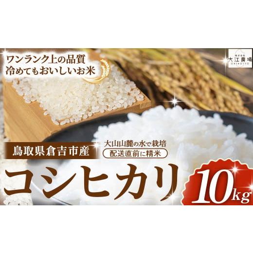 ふるさと納税 米 コシヒカリ 鳥取県 倉吉市 3月配送分 令和7産米 倉吉市産 コシヒカリ 10kg(5kg×2袋)大江農場 数量限定 令和7年産米 精米 お米 米 こめ コ…