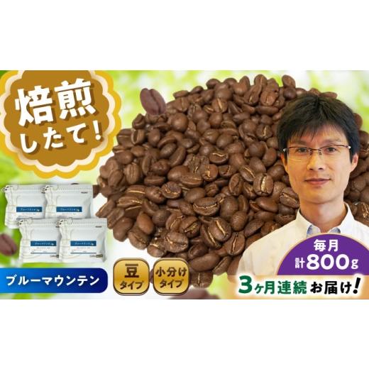 ふるさと納税 コーヒー コーヒー豆 愛知県 瀬戸市  全3回定期便 ブルーマウンテンNo.1 コーヒー豆 200g×4個 (豆) ／ 珈琲 コーヒー 豆 ／ 瀬戸市 ／ Ｃｏｆｆ…の画像