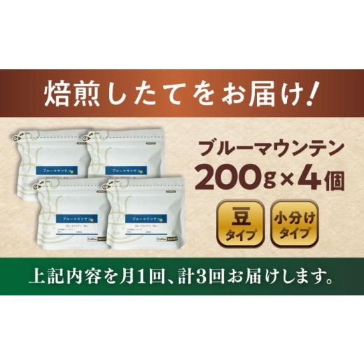ふるさと納税 コーヒー コーヒー豆 愛知県 瀬戸市  全3回定期便 ブルーマウンテンNo.1 コーヒー豆 200g×4個 (豆) ／ 珈琲 コーヒー 豆 ／ 瀬戸市 ／ Ｃｏｆｆ…の画像