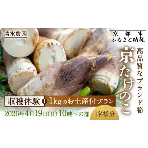 ふるさと納税 体験チケット 京都府 京都市 清水農園 『京たけのこ』収穫体験+1キロのお土産付プラン 2026年4月19日(日) (1)10時〜の部 1名様分[ 京都 タケ…