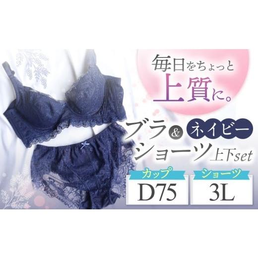 ふるさと納税 ファッション 千葉県 君津市 ブラ&ショーツ 上下セット ネイビー D75&ショーツ 3L | 女性用下着 レディース ブラ&ショーツ ブラ ショーツ ネ…