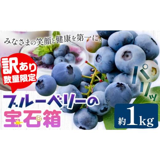 ふるさと納税 果物類 岡山県 笠岡市 2026年先行予約 訳あり数量限定 ブルーベリー 計1kg (250g×4パック) ブルーベリーの宝石箱 かさおか青空ファーム 先行予…