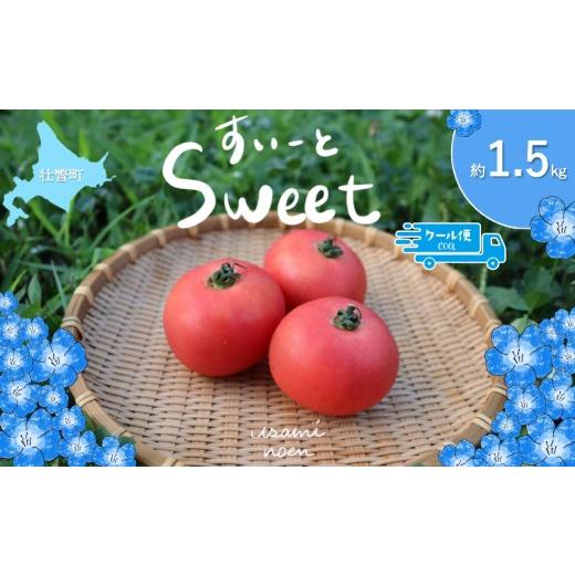 ふるさと納税 野菜類 トマト 北海道 壮瞥町  2026年予約 極旨トマトクール便 北海道壮瞥町産 スイート1.5kg 中玉トマト ふるさと納税 人気 トマト とまと 野菜…_1