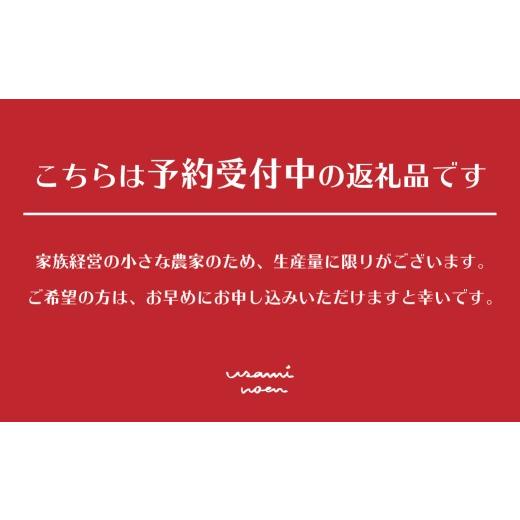 ふるさと納税 野菜類 トマト 北海道 壮瞥町  2026年予約 極旨トマトクール便 北海道壮瞥町産 スイート1.5kg 中玉トマト ふるさと納税 人気 トマト とまと 野菜…_2