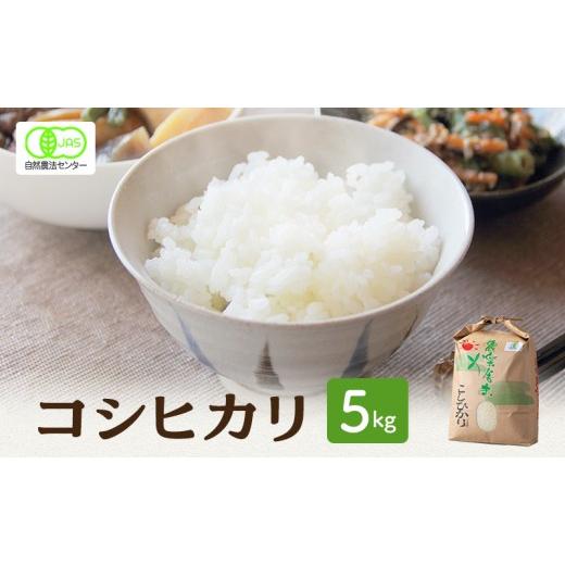 ふるさと納税 米 コシヒカリ 福井県 若狭町 米 有機JAS 認証 コシヒカリ 白米 5kg こしひかり お米 おこめ こめ コメ 白米 精米 ご飯 ごはん 福井県