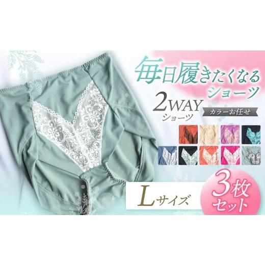 ふるさと納税 ファッション 千葉県 君津市 2WAYショーツ Lサイズ 3枚セット カラーおまかせ | 衣類 下着 ショーツ ファッション 千葉県 君津市 きみつ Lサイズ