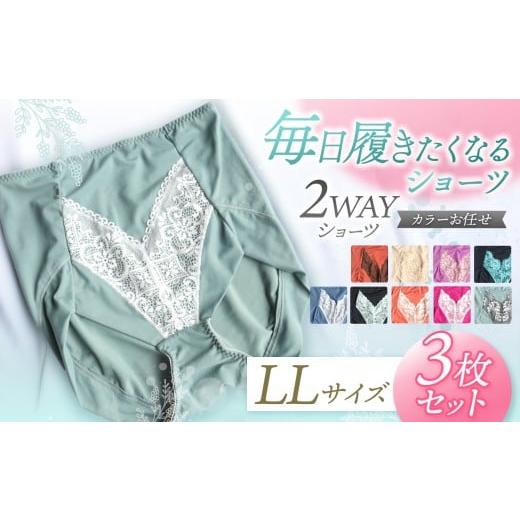ふるさと納税 ファッション 千葉県 君津市 2WAYショーツ LLサイズ 3枚セット カラーおまかせ | 衣類 下着 ショーツ ファッション 千葉県 君津市 きみつ LLサイ…
