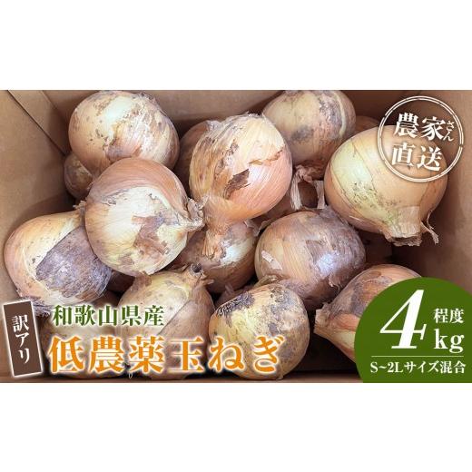 ふるさと納税 野菜類 玉ねぎ 和歌山県 九度山町 ［2026年発送分・先行予約］訳あり 農家さん直送 低農薬玉ねぎ 4kg程度 S〜2L混合［4月中旬〜7月中旬頃発送予…の画像