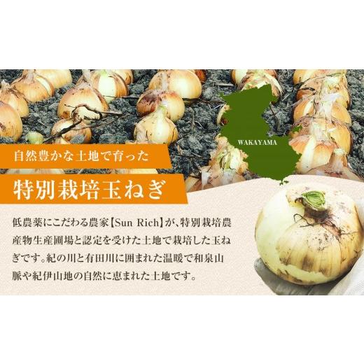 ふるさと納税 野菜類 玉ねぎ 和歌山県 九度山町 ［2026年発送分・先行予約］訳あり 農家さん直送 低農薬玉ねぎ 4kg程度 S〜2L混合［4月中旬〜7月中旬頃発送予…の画像