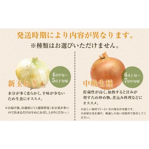 ふるさと納税 野菜類 玉ねぎ 和歌山県 九度山町 ［2026年発送分・先行予約］訳あり 農家さん直送 低農薬玉ねぎ 4kg程度 S〜2L混合［4月中旬〜7月中旬頃発送予…の画像