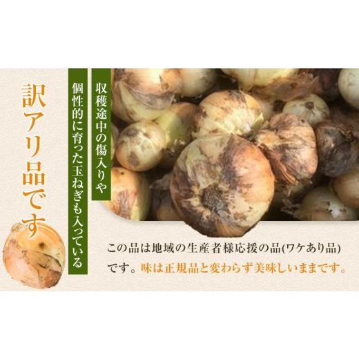 ふるさと納税 野菜類 玉ねぎ 和歌山県 九度山町 ［2026年発送分・先行予約］訳あり 農家さん直送 低農薬玉ねぎ 4kg程度 S〜2L混合［4月中旬〜7月中旬頃発送予…の画像
