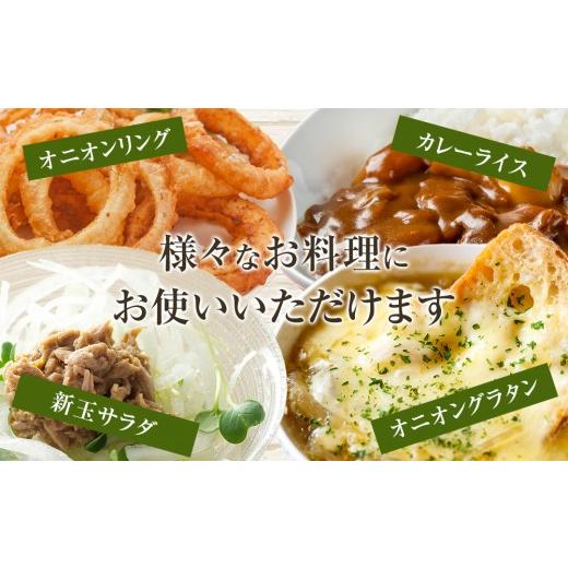 ふるさと納税 野菜類 玉ねぎ 和歌山県 九度山町 ［2026年発送分・先行予約］訳あり 農家さん直送 低農薬玉ねぎ 4kg程度 S〜2L混合［4月中旬〜7月中旬頃発送予…の画像