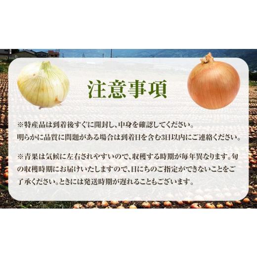 ふるさと納税 野菜類 玉ねぎ 和歌山県 九度山町 ［2026年発送分・先行予約］訳あり 農家さん直送 低農薬玉ねぎ 4kg程度 S〜2L混合［4月中旬〜7月中旬頃発送予…の画像