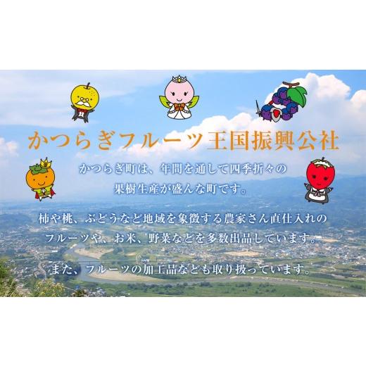 ふるさと納税 野菜類 玉ねぎ 和歌山県 九度山町 ［2026年発送分・先行予約］訳あり 農家さん直送 低農薬玉ねぎ 4kg程度 S〜2L混合［4月中旬〜7月中旬頃発送予…の画像