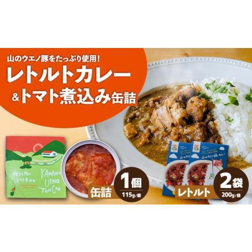 ふるさと納税 加工品等 レトルト 長崎県 大村市 山のウエノ豚カレー・缶詰 詰め合わせ/ おつまみ レトルトカレー トマト煮/ 大村市 / 株式会社上野養豚 ACB…