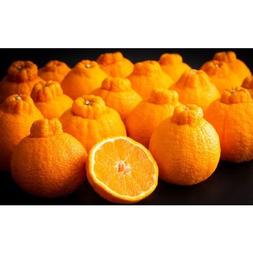 ふるさと納税 みかん・柑橘類 デコポン 熊本県 熊本市 熊本県産 デコポン 5kg 2026年3月上旬〜3月下旬迄順次発送予定 みかん ミカン 蜜柑 くだもの 果物 柑橘 …