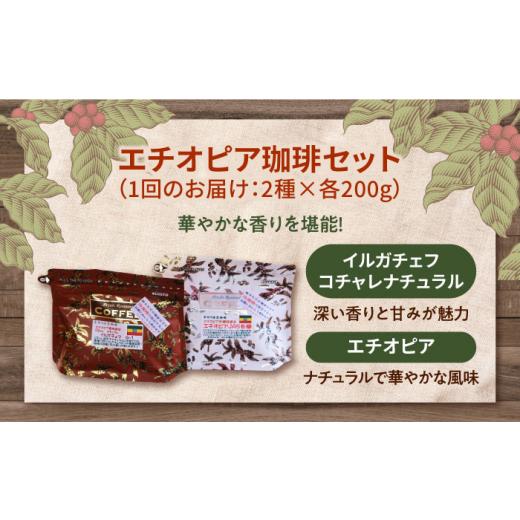 ふるさと納税 コーヒー コーヒー豆 広島県 江田島市  全12回定期便 粉 「華やかな香りを楽しむ」コーヒーセット 200g×2種江田島市／Coffee Roast Sereno XBE0…の画像