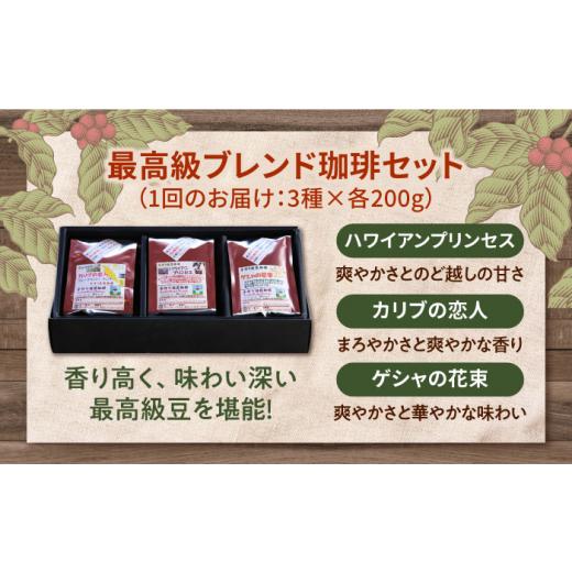 ふるさと納税 コーヒー コーヒー豆 広島県 江田島市  全6回定期便 粉 「最高級ブレンド」コーヒーセット 200g×3種江田島市／Coffee Roast Sereno XBE059-2 コ…の画像